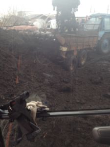 Купить торф Икша